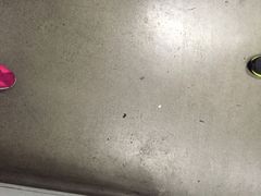 常熟路-地铁站-常熟路(地铁站)