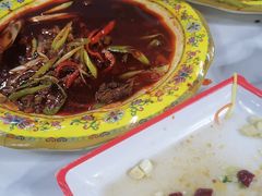 -柴窝堡22号辣子鸡·传承新疆菜