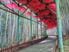 -陶祖圣境风景区