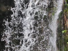 -鹿院坪生态旅游景区