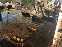 -J Create城市露营咖啡·简餐·宠物(上海动物园店)