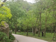 -湖洞水自然风景区