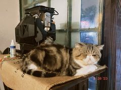 -参差咖啡(水果湖公园店)