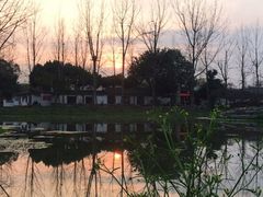 -白鹭湾湿地公园