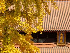 -苏州文庙(姑苏区)