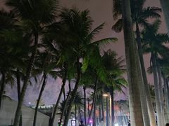 -欢乐海岸椰林沙滩-2025湾区超级灯会
