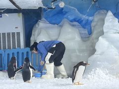 -郑州银基冰雪世界