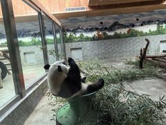 -西安秦岭野生动物园