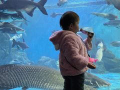 -多彩贵州城极地海洋世界