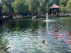 -水磨沟公园