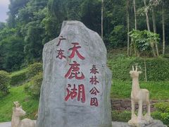 -天鹿湖森林公园