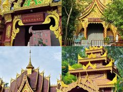 -西双版纳原始森林公园