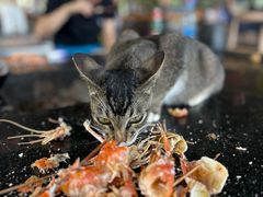 -粮心小农·大头虾亲子生态园(长发店)