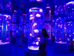 -石林冰雪海洋世界