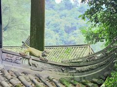 -青城山