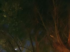 -湖南别院·美学庭院餐厅(惠阳店)