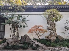 -拙政园