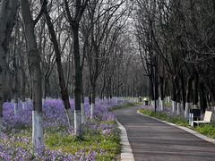 -江苏三台山国家森林公园