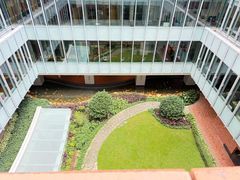 -香港大学