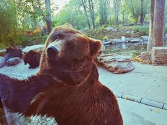 -北京野生动物园