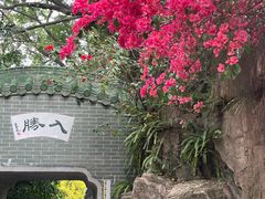 -东山湖公园