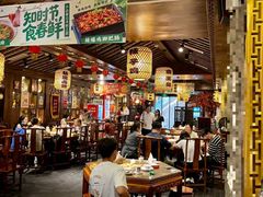 -杨记隆府(重庆总店)