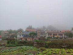 -军营村