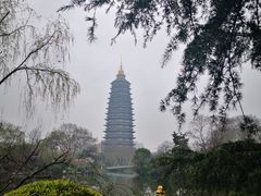 -红梅公园