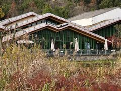 -西湖风景区-江洋畈生态公园