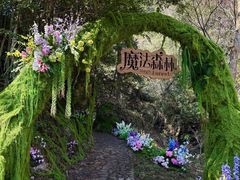 -龙湾潭国家森林公园