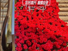-万科生活广场(东莞松山湖店)