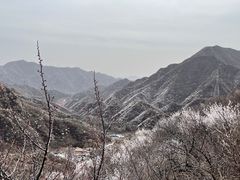 -大岭沟猕猴桃谷风景区