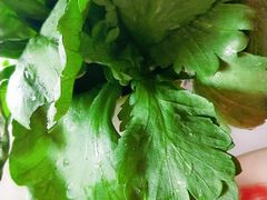 -和庆斋阳坊秘制羊蝎子火锅(云岗店)