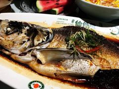 -沪碟·精菜坊(闵行店)