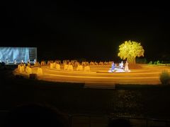 -鼎盛王朝康熙大典实景演出