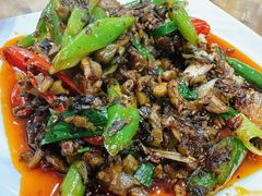 -陈有良尖椒鸡(渝中旗舰店)