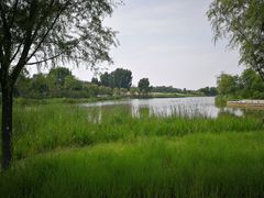 -东郊湿地公园