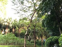 -晓港公园