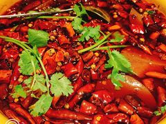 -红辣椒·川菜·火锅(张杨路店)
