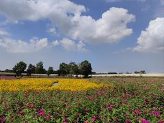 -江苏三台山国家森林公园