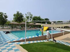 -爪吧宠物乐园 (温榆河示范区店)