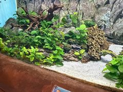 -芜湖新华联大白鲸海洋公园