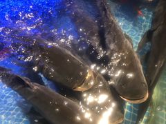 -味钱塘·钱塘浙宴(宋城之江银泰店)