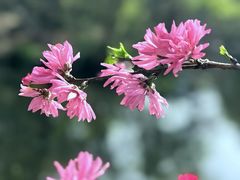 -茅家埠