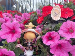 -上海植物园-4号门售票处