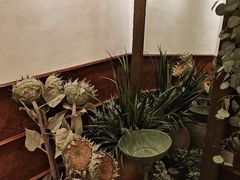 -春风·有糖(崇宁路店)