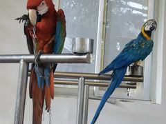 -南戴河国际娱乐中心