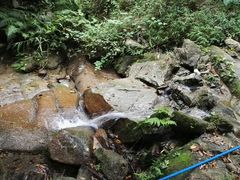 -火炉山森林公园