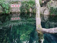 -蝴蝶泉公园