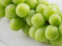 -美家乐农庄·露营·团建(大治路店)